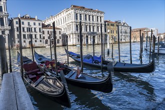 Gondolas at the jetty on the Grand Canal, Venice, Veneto, Italy, Europe