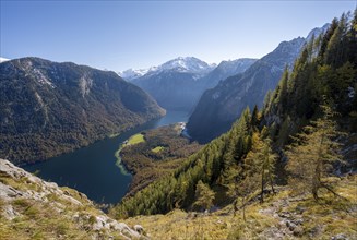 View of the Königssee from the Rinnkendlsteig mountain hiking trail, autumnal forest and