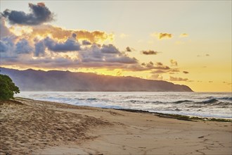 Landscape of a tropical Beach on Oahu by suset, Hawaiian Island Oahu, OÊ»ahu, Hawaii, Aloha State,