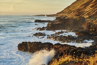 Landscape of the beach at KaÊ»ena Point State Park, Hawaiian Island Oahu, OÊ»ahu, Hawaii, Aloha