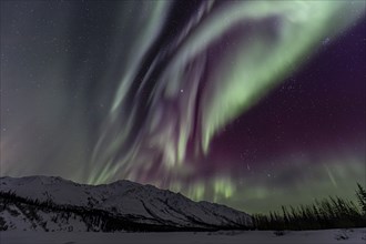 Green, yellow and purple northern lights (aurora borealis) over snowy mountains, northern lights