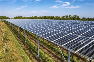 Agri-photovoltaic test plant, an apple orchard with two different systems of PV modules was roofed