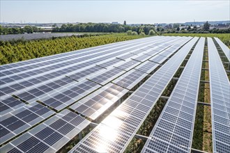 Agri-photovoltaic test plant, an apple orchard with two different systems of PV modules was roofed