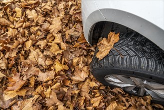 Driving on autumn leaves, slippery surfaces, leaves, grip from winter tyres