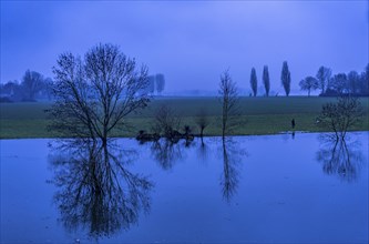 High water on the Rhine at Düsseldorf-Kaiserswerth, foggy weather, riverside paths and Rhine