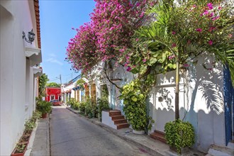 Colombia, Scenic colorful streets of Cartagena in historic Getsemani district near Walled City