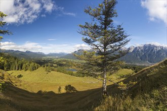 Panorama from Hoher Kranzberg, 1397m on the Wildensee, the humpback meadows between Mittenwald and