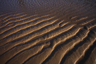 Sand ripples, wavy lines in the sand, structure, sandy beach, Meia Praia beach, Lagos, Atlantic