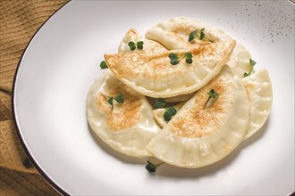 Pierogi, a traditional dish of Polish cuisine, dumplings, top view, close-up, no people