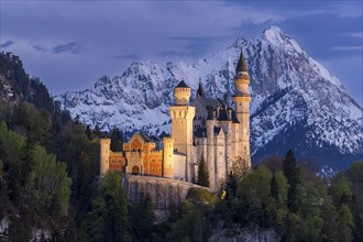 Neuschwanstein Castle near Füssen, Schwangau, AllgÃ¤u Alps, night shot, illuminated, snow, East