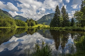 Moorweiher, Oberstdorf, OberallgÃ¤u, AllgÃ¤u, Bavaria, Germany, Europe