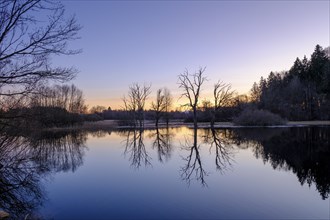 Sunset at the wet meadows, pond, Seeachtn near Machtlfing, Fünfseenland, Upper Bavaria, Bavaria,