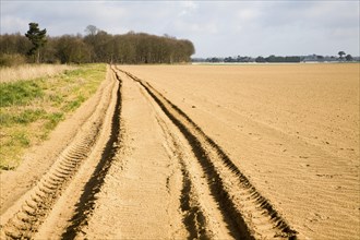 To be captioned after editing Track crossing sandy fields of farmland on Suffolk Sandlings,