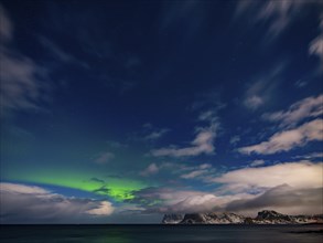 Northern lights, aurora borealis, above snow-covered mountains in the starry sky, Lofoten, Norway,