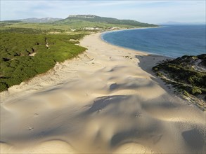 The famous dune of Bolonia at the sandy coastline of the Atlantic Ocean and framed by forests of