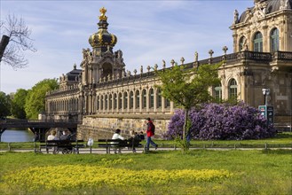 The lilacs bloom magnificently at the Zwinger moat, Dresden, Saxony, Germany, Europe