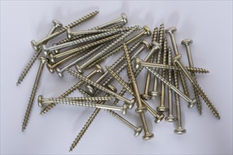 Phillips screws on a white background, wood screws