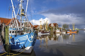 Cutter harbour Neuharlingersiel, shrimp cutter, East Frisia, Lower Saxony, Germany, Europe