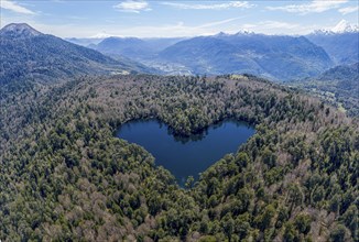 Heart-shaped lake Laguna Corazon, near Liquine, aerial view, Chile, South America