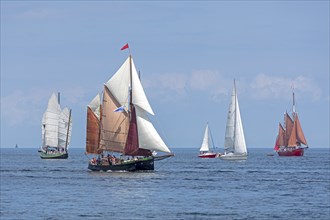 Sailing ships, starfish, sailing boats, Kiel Week, Kiel Fjord, Kiel, Schleswig-Holstein, Germany,