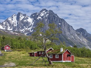 Typical norwegian red and white holiday cottages, valley Follestaddal at the Hjorundfjord, More og