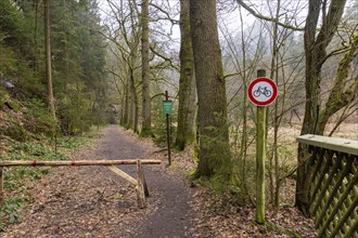 Polenztal in Saxon Switzerland, Hohnstein, Saxony, Germany, Europe