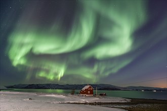 Green northern lights over a red house on the coast, aurora borealis, sea, winter, snow,