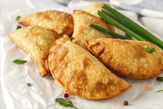 Fried chebureks, close-up, on a white background, no people