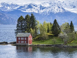 Typical red house on an island in the Hardangerfjord, near Strandebarm, Hordaland, Norway, Europe