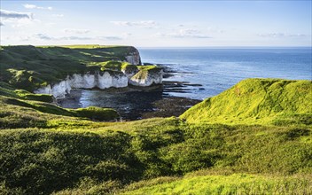 Cliffs over Flamborough Seawatch Observatory, Flamborough, Yorkshire, England, United Kingdom,