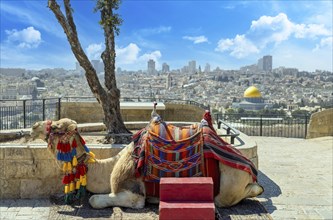 Jerusalem, Islamic shrine Dome of the Rock located in the Old City on Temple Mount