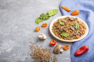 Spelt (dinkel wheat) porridge with vegetables and mushrooms on ceramic plate on a gray concrete