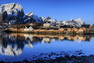 Wooden houses on a fjord off Bergen, morning light, reflection, winter, Reine, Moskenesoya,