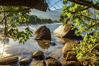 Wild Castelhanos Beach on the island of Ilhabela seen through the vegetation of the surrounding