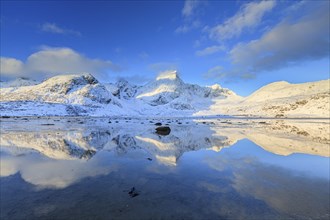 Snow-covered steep mountains reflected in fjord, morning light, winter, Flakstadoya, Lofoten,