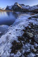 Sunrise, morning light, steep mountains and fjord, ice, winter, Flakstadoya, Lofoten, Norway,