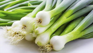 Vegetable, spring onion or spring onion, also known as winter onion, Allium fistulosum