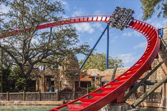 Park guests ride the SheiKra roller coaster at Busch Gardens theme park in Tampa, Florida, USA,