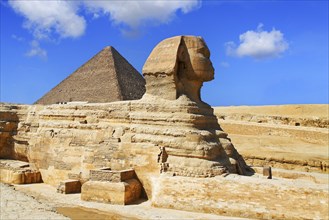 The Sphinx of Giza in Egypt, Giza, Egypt, Africa