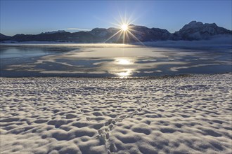 Sunrise at a lake in front of mountains, snow, winter, Forggensee, Königswinkel, view of Tegelberg