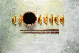 Japanese fried dumplings, gyoza, sesame seeds, top view, no people