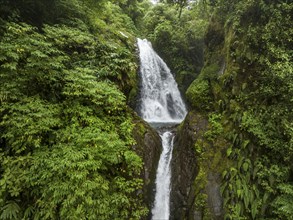 Aerial view, waterfall in the rainforest, Catarata de la Paz, La Paz Waterfall Gardens Nature Park,