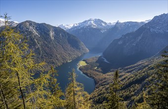 Panoramic view of the Königssee from the Archenkanzel viewpoint, autumnal forest and snow-capped