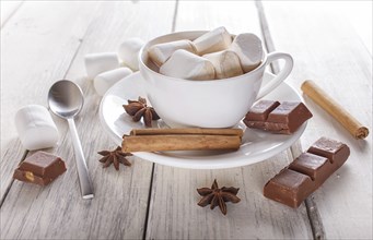 A cup of hot chocolate with marshmallow and spices on white wooden background. top view, close up