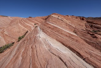 Layered rock formations along the Fire Wave Trail at Valley of Fire State Park near Overton, Nevada