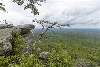 Overlook along the Pulpit Rock Trail in Cheaha State Park, Alabama, USA, North America