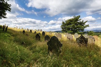 Overgrown old gravestones in a meadow, rows of graves in a cemetery, good summer weather, St