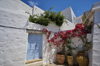 White houses with blue doors and red flowers in pots, Mediterranean atmosphere, sunny day, Chora,