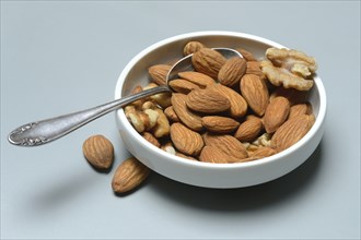 Almonds and walnuts in shell with spoon, various nuts