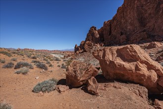 Sandstone rock formations along the Fire Wave Trail at Valley of Fire State Park near Overton,